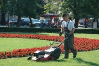 Počinje košenje zelenih površina