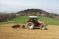 Domaćem tržištu trebaće više hrane