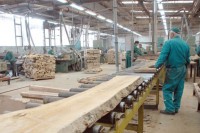 Drvoprerađivači ne žele otpuštati radnike uprkos problemima