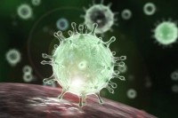 Пронађено антитијело које спречава вирус да зарази људе
