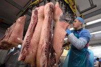 Izvoz svinjetine slamka spasa za farmere