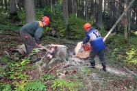 Šumsko gazdinstvo “Sjemeć” Rogatica: Nevrijeme poremetilo planove