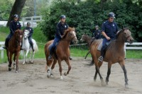 Austrijski policijski konji otišli u Srbiju