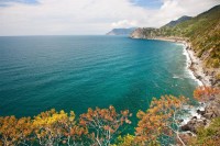 Карантин препородио живот у морима Италије
