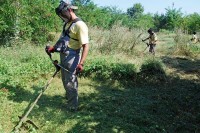 Bijeljina: Za košenje ambrozije sa javnih površina 24.000 KM