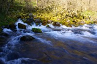 Ријека Плива највеће извориште питке воде у Европи: Природна оаза на три врела