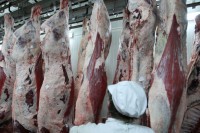 Izvoz tanji višak mesa