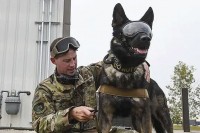 Aмеричка војска тестира АР наочаре намијењене псима