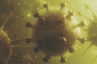 Норвешки љекар тврди: Вирус је мутирао