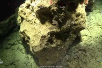 Ispod površine okeana pronađen greben viši od zgrade sa 100 spratova