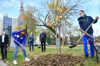 Засађена алеја посвећена спортском друштву "Борац"