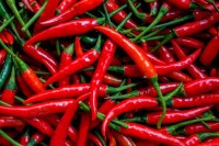 Istraživači statistički otkrili da osobe koje jedu čili papričice žive duže