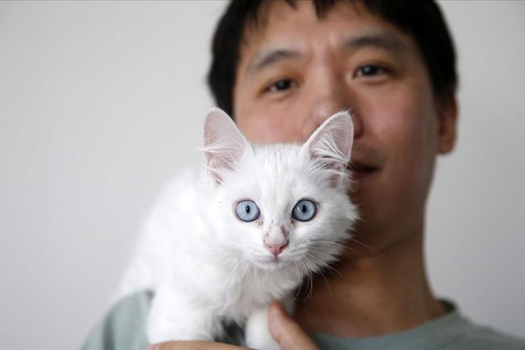 Допутовао из Кине у Турску како би удомио ријетку турску Ван мачку .