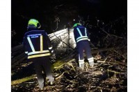 Vatrogasci imali pune ruke posla: Kiša oborila stabla na saobraćajnice