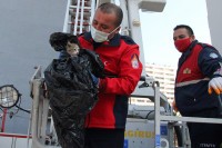 Турска: Ватрогасци спасили мачку с балкона на деветом спрату