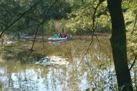 Истраживање доњег тока и ушћа Дрине у Саву: Барски систем крије природно богатство