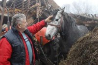 Spasio voljenog konja iz ruševina