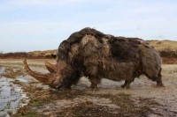Pronađena savršeno očuvana praistorijska zvijer: Sačuvani mnogi unutrašnji organi