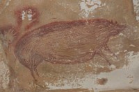 Најстарија слика на свијету приказује свињу