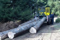 "Šume Srpske" ostvarile plan proizvodnje, usporena naplata