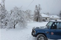 Bez struje duže od sedmice desetine planinskih sela u Srbiji