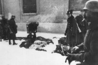 Vučević: Zloglasnom vojnom akcijom ''Novosadska racija'' januara 1942. grad je bio natopljen krvlju nedužnih