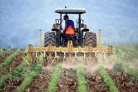 Čelinac: Isplaćeni podsticaji za 90 poljoprivrednika