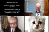 Када остане укључен филтер на Зуму: Амерички адвокат се појавио као мачка ВИДЕО