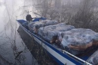 Na Skadarskom jezeru zaplijenjeno 222 kilograma marihuane