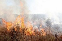  Povećan broj požara usljed ljudske nepažnje