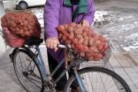 Podjela krompira Banjalučanima na pet lokacija