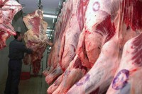 Турска најзначајније “треће” тржиште за БиХ: Слободан пласман меса јача размјену