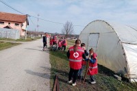 Podmladak Crvenog krsta u akciji sadnje drvoreda