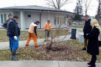 Прољећна акција уређења Српца: Град облачи ново рухо