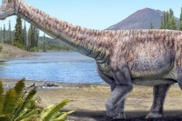Откривена нова врста диносауруса