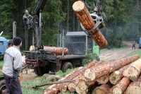 Narudžbe iz regiona i EU karta za izlazak šumarstva i drvoprerade iz krize
