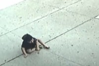 Nevjerovatan snimak: Trogodišnjak preživio pad s petog sprata VIDEO