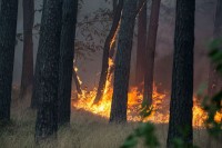 Ugašena dva požara u Sokocu: Gorjelo 15 hektara niskog rastinja i šume