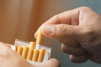 Šverceri cigareta obrću milione