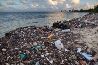 Пластични отпад на удаљеним острвима угрожава корњаче