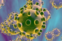 Mnogo neistraženih dokaza o porijeklu virusa