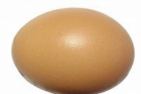 Открили нетакнуто кокошје јаје старо 1.000 година