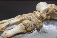 Пронађене кости новог типа раног човјека