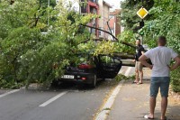 Stablo palo na automobil u centru Banjaluke