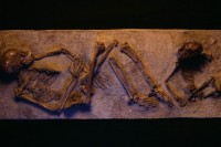 Pronađeni ostaci novootkrivene ljudske vrste: Čovek zmaj mijenja priču o ljudskoj evoluciji