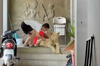 У Камбоџи конфискован лав чуван као кућни љубимац