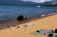 Необичан призор на мору: Мечка повела младунчад на плажу да се купају