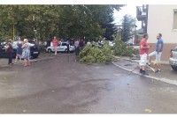 Nevrijeme pogodilo Miliće: Vjetar rušio stabla,šteta na stambenim objektima, lokalnim putevima i automobilima