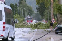 Tokom nevremena u Bihaću pala grana i usmrtila jednu osobu