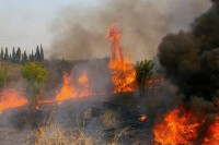 Потрага за пет људи у рејону захваћеном ватром у Никшићу